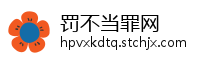 罚不当罪网